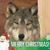 Jan Hoover Clodfelter's profile image