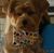 Shirley Davis's profile image