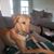 Susan Easter Meagher's profile image