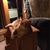 Susan Kimball's profile image