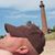 Mark Schindlbeck's profile image