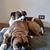 Kathy Muruato's profile image