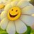 Barbara Turnbaugh's profile image