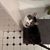Beth Redford Shrout's profile image