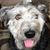 Jill Sullivan's profile image