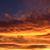 Shellie Burke Berninzoni's profile image