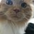 Elizabeth Hasty Shaver's profile image