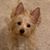 Ginger Hinton Edwards's profile image