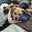 Jack Ritoli's profile image