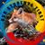 Donna Evans's profile image
