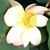 Kerry Walker's profile image
