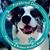 Nancy Nygaard's profile image