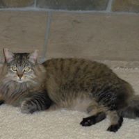 Cathy Edge's profile image