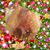 Lawrence E Barrage's profile image