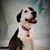 Kathy Walton's profile image