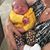Anne M Link's profile image