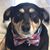 Leigh Bennett's profile image