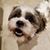 Joe Bradshaw's profile image