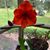 Brenda Brown Wall's profile image