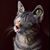 Randy Grunwald's profile image