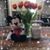 Lisa Ann Kincaid-Johnson's profile image