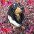 Mari Takenaga's profile image