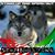 Donna Takacs's profile image