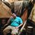 Chris Dell'Aquila's profile image