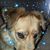 Sandra Rodriguez's profile image