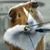 Dave Baxter's profile image