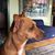 Molly Splawn's profile image