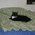 Susan Greiff's profile image