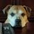 Richard Brown's profile image