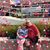 Kathy Neher-Boris's profile image