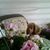 Edith Goff Tallman's profile image