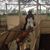 Donna Thompson's profile image
