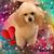 Bobbie Dyar Wernet's profile image