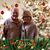 Teresa Elmore's profile image
