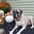 Brendan J Reig's profile image