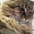Judy Miller Roesel's profile image