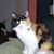 Elise Margarete Bell's profile image