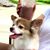 Hyun Mi Park's profile image