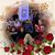 Dianne Conaway's profile image