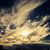 April Dawn Miller's profile image