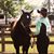 Grace Skogquist's profile image