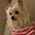 May Green's profile image