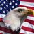 Joseph Atkinson's profile image
