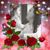 Yadiris Rivera's profile image