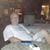 Charles Christner's profile image