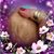 Gretchen Balster's profile image